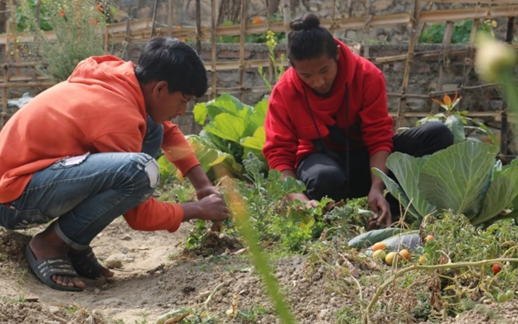 The Olgapuri Farm