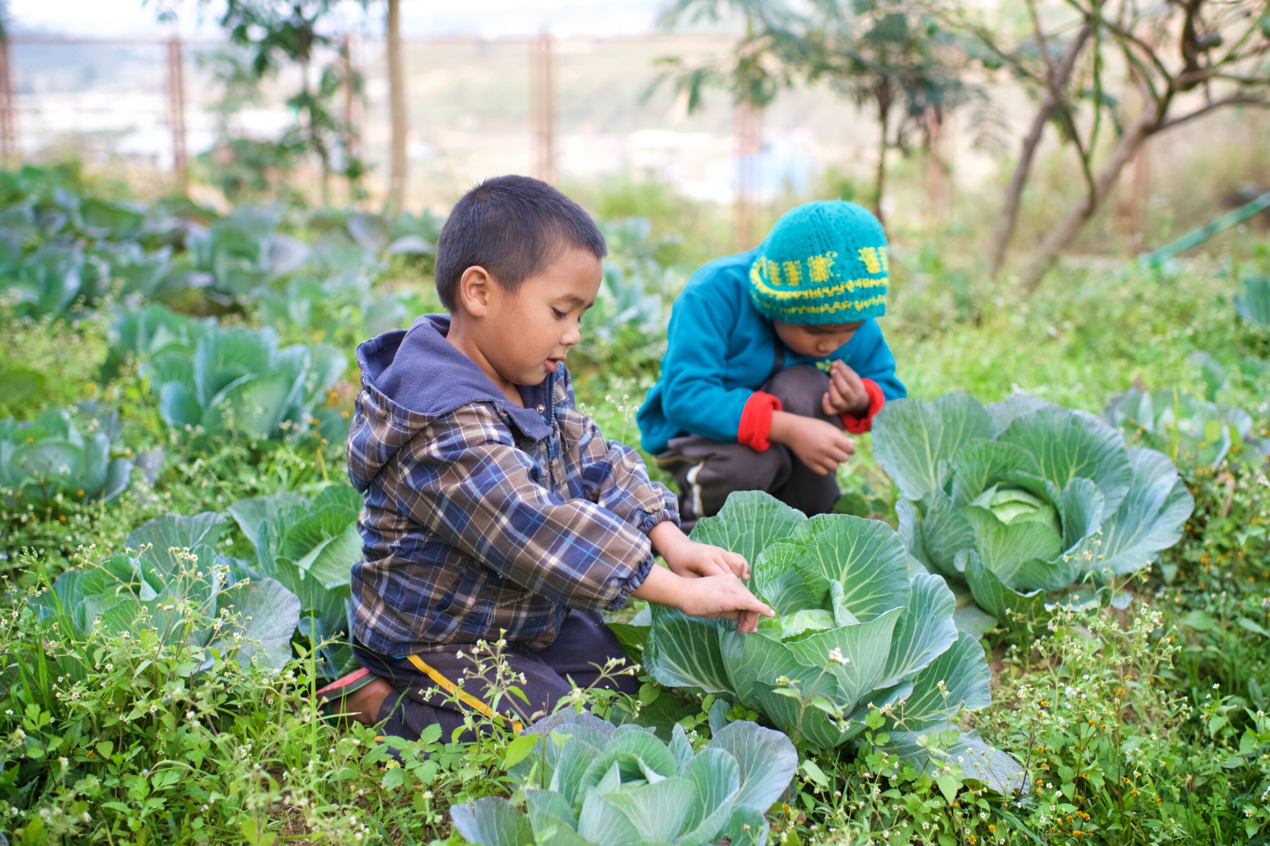 Two children at Olgapuri admire the leafy greens growing in the Olgapuri garden.