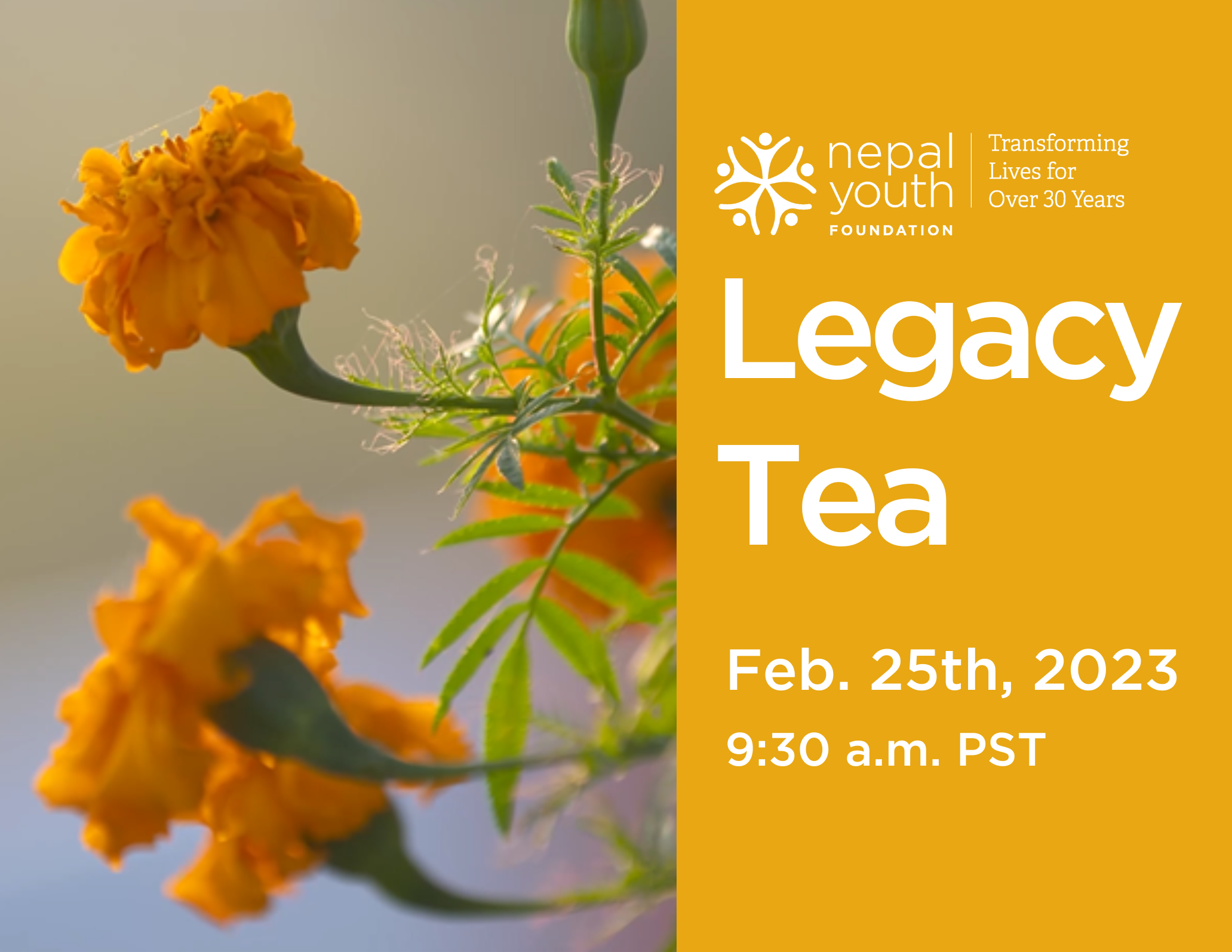 Legacy Tea 2023